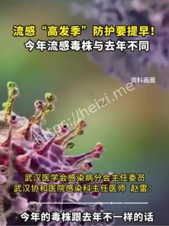 流感毒株变异